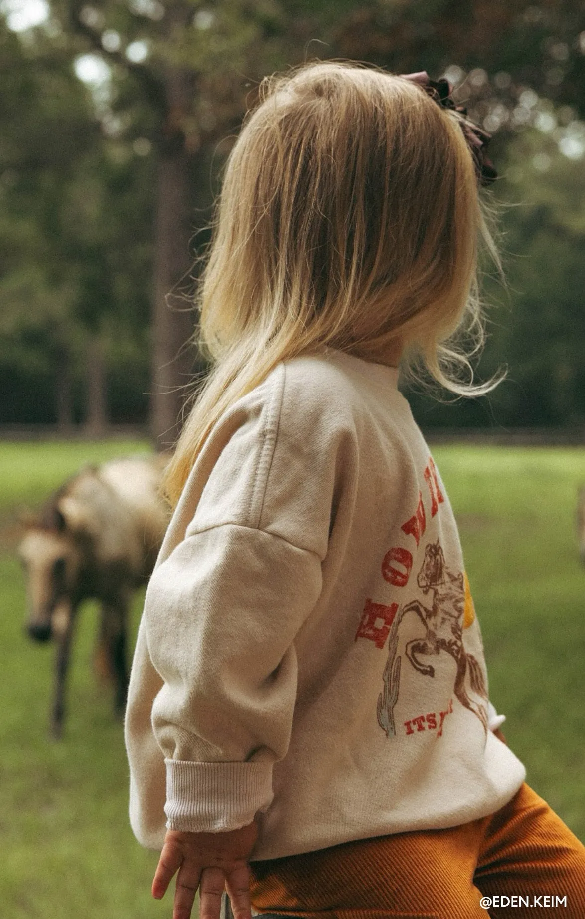 Davis Sweatshirt ~ Vintage Howdy Grafik