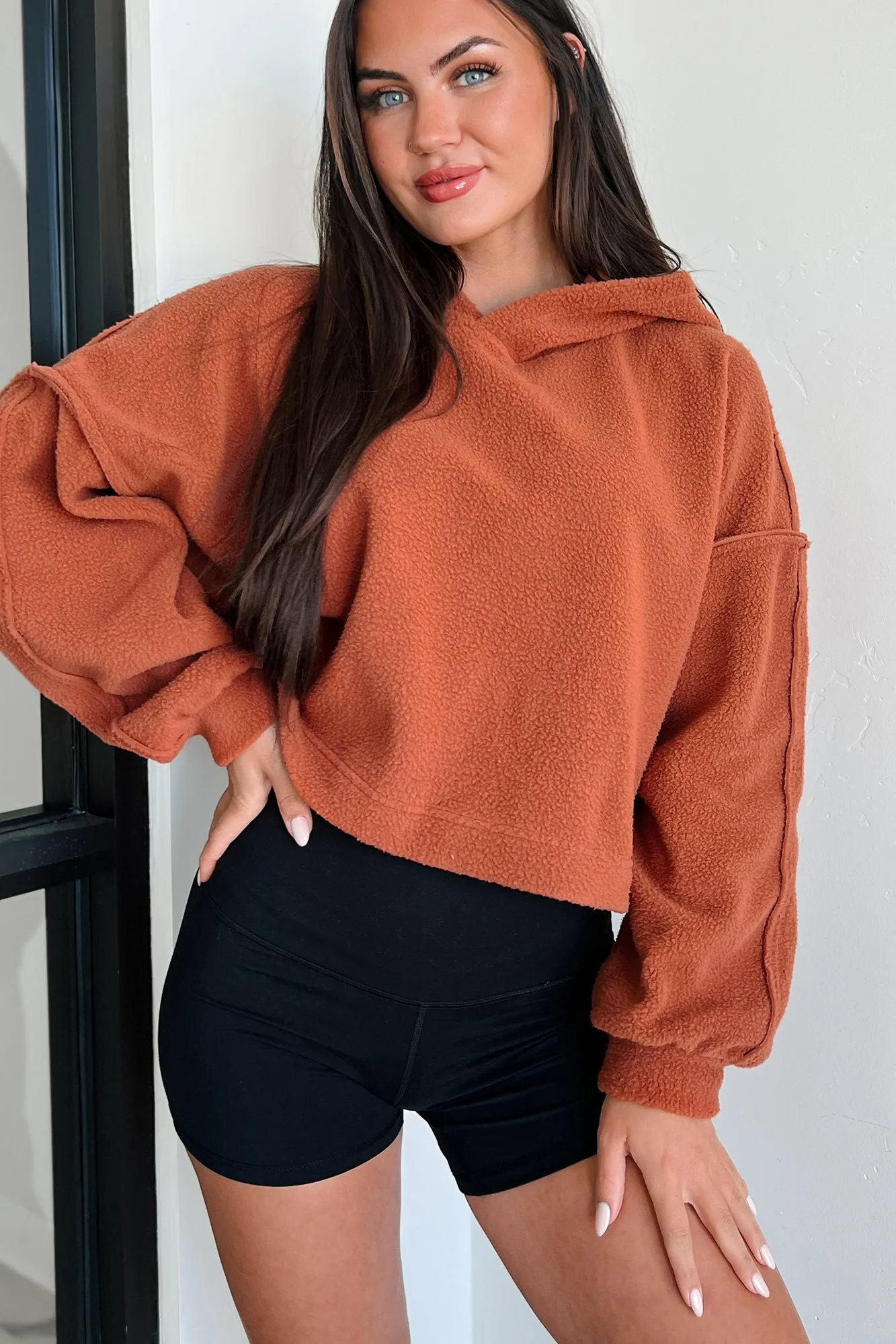 Left On Read Sherpa Fleece Crop Hoodie (Gebackener Lehm)